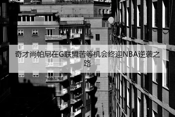 奇才尚帕尼在G联盟苦等机会终迎NBA逆袭之路